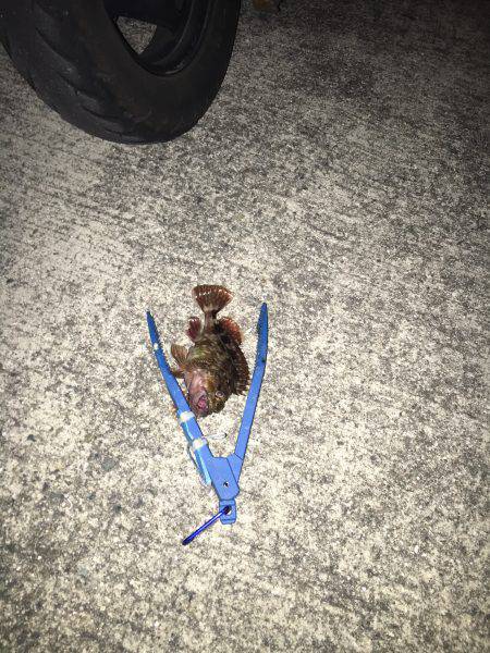 雨が上がってたので