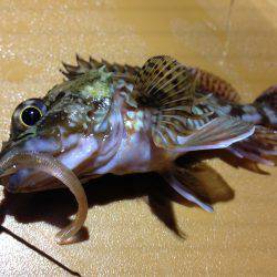 爆風向かい風釣行！