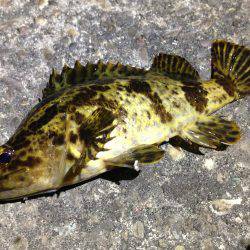 満潮までやろう！