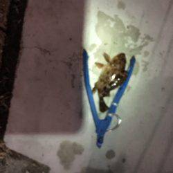 平日なのに超満員