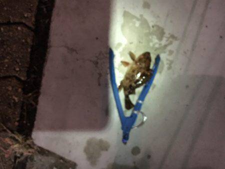 平日なのに超満員