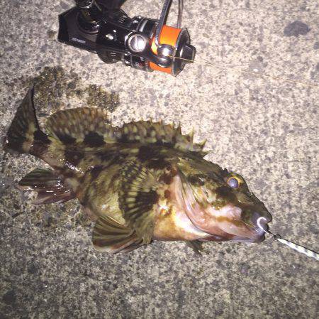 最後にやっと釣れました。