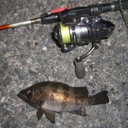 短時間メバリング