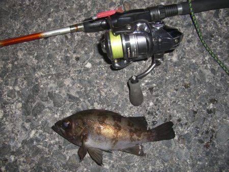 短時間メバリング