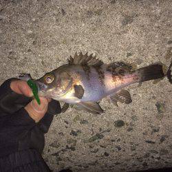 マイクロワインド