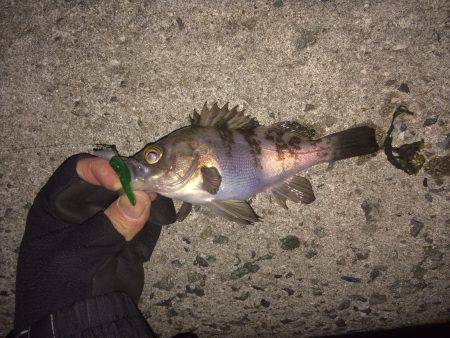 マイクロワインド