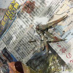 まさかの寝坊・・・