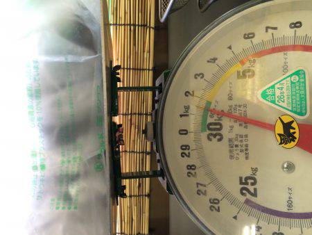 遠征なんとかボウズ逃れの劇渋