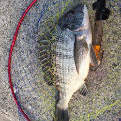 ノッコミ到来？！