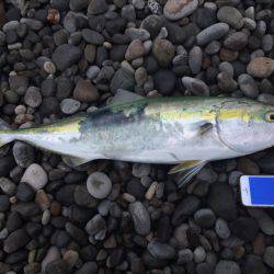 荒波・強風の中での勝利！