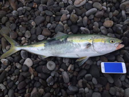 荒波・強風の中での勝利！