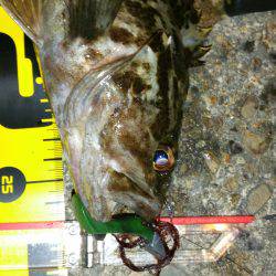 新春タケノコ掘り❤