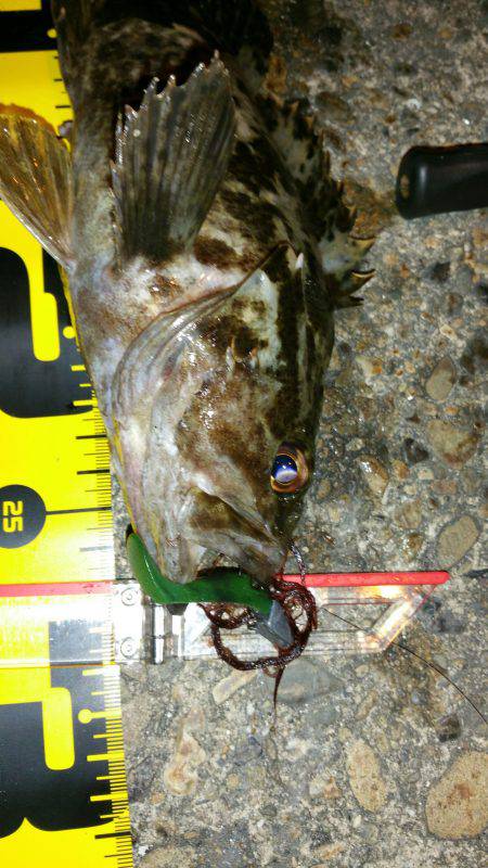 新春タケノコ掘り❤