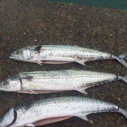 リベンジマッチ！！