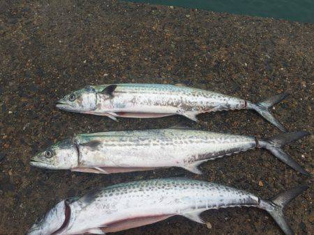 リベンジマッチ！！