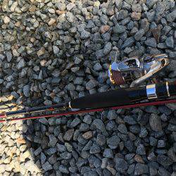 メバリングにて