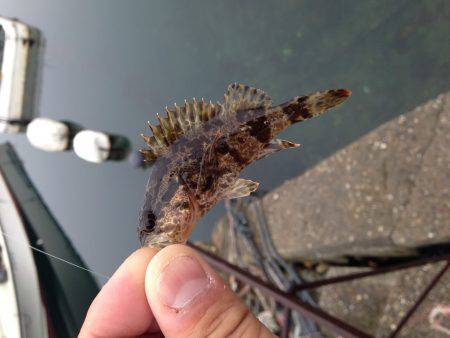 激渋ライトゲーム