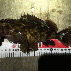 一週間ぶりにガッシーとご対面\(^o^)/