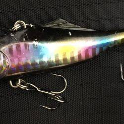 シーバスは不発。