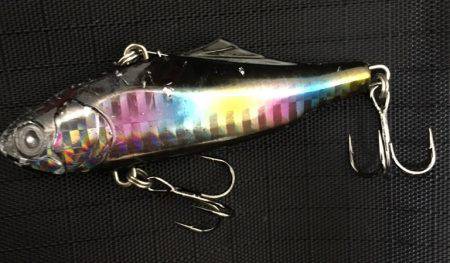 シーバスは不発。