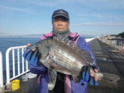 大阪南港海釣り公園　チヌ、ガシラ
