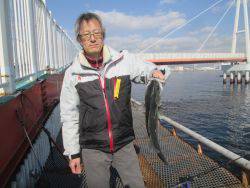 尼崎市立魚つり公園　ハネ好調