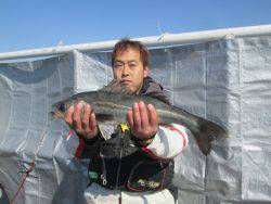 尼崎市立魚つり公園　ハネ好調