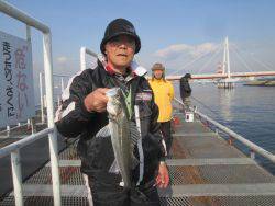 尼崎市立魚つり公園　ハネ、セイゴ好調