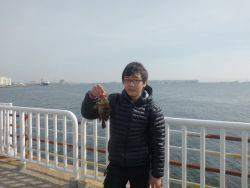 大阪南港海釣り公園　ガシラ、チヌ