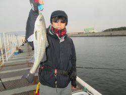 尼崎市立魚つり公園 ハネ&チヌ棚は深め