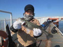 尼崎市立魚つり公園 ハネ、セイゴ
