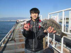 尼崎市立魚つり公園　ハネ、セイゴ、チヌ