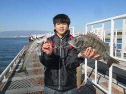 尼崎市立魚つり公園　ハネ、セイゴ、チヌ