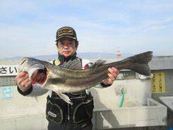 尼崎市立魚つり公園　エビ撒きでスズキ