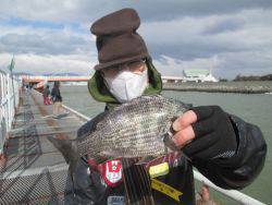 尼崎市立魚つり公園 投稿