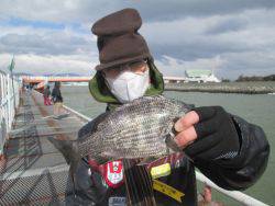 尼崎市立魚つり公園 投稿