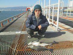 尼崎市立魚つり公園　ハネ