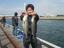 尼崎市立魚つり公園　ハネ釣果