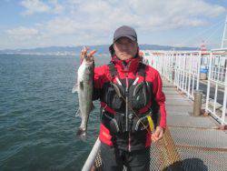 尼崎市立魚つり公園 　ハネ、チヌ
