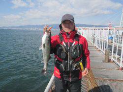 尼崎市立魚つり公園 　ハネ、チヌ