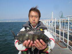 尼崎市立魚つり公園　ハネ、チヌ