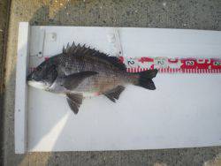 姫路市立遊魚センター 投稿