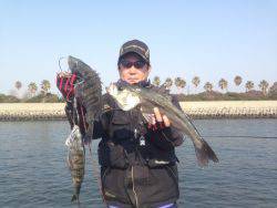 尼崎市立魚つり公園 54cmのハネ&32~38cmのチヌ