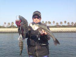 尼崎市立魚つり公園 ５４ｃｍのハネ&…