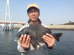 尼崎市立魚つり公園 54cmのハネ&32~38cmのチヌ