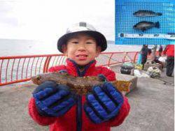 平磯海釣り公園　胴突でメバル＆アイナメ