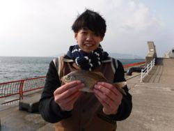 神戸市立平磯海づり公園　ウミタナゴ