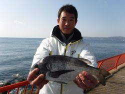 平磯海釣り公園　ウキ釣りでチヌ38cm