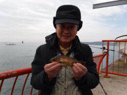 神戸市立平磯海づり公園　落し込みでメバル