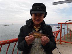 神戸市立平磯海づり公園　落し込みでメバル